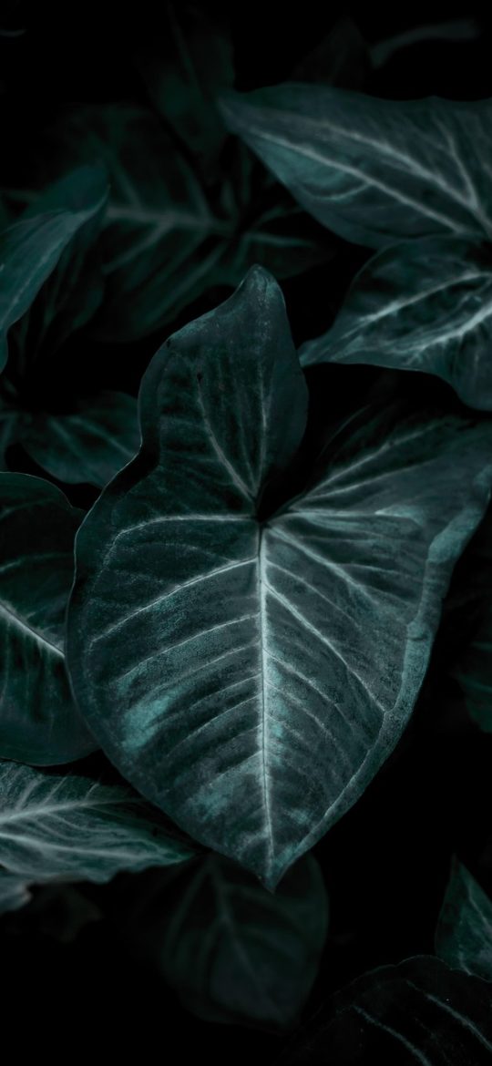 手机虎扑 App 文字直播界面截图：深色底上按时间排列的赛况短句，右侧带分钟数标记与进球高亮